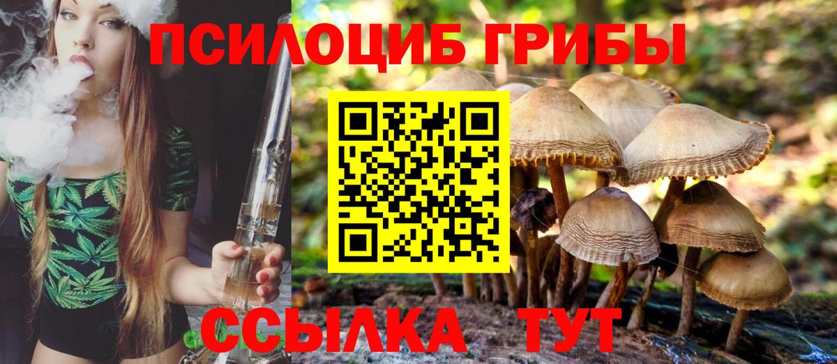 Кинешма  Галлюциногенные грибы MAGIC MUSHROOMS  где купить наркотик  Вход с VPN 
